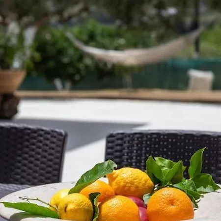Olive Garden Chania Villa *